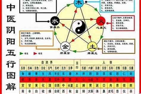 1984年五行缺什么|1984年到底是金命还是木命？1984年属鼠金命缺什么？